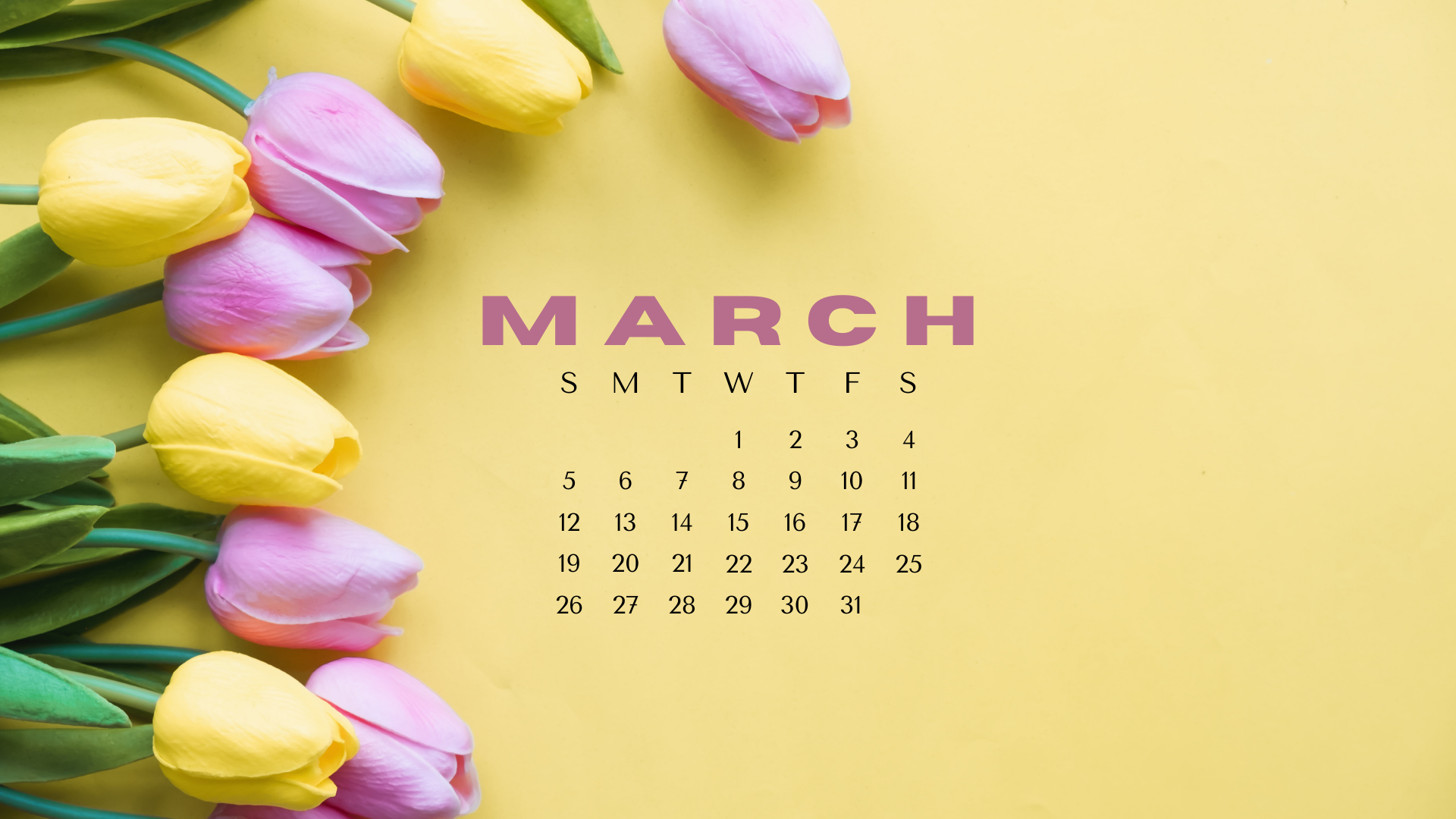 Spring Desktop Wallpaper 2023 Infoupdate