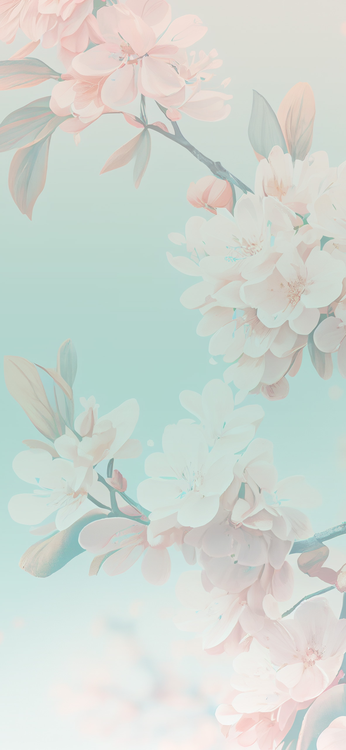 Cherry Blossom Spring Wallpapers