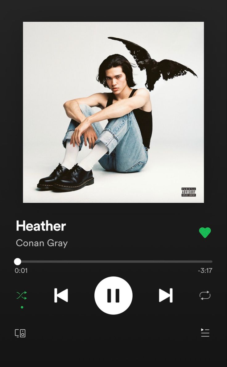 ✰ recommended music ✰. Conan gray, Music album cover, Music album covers