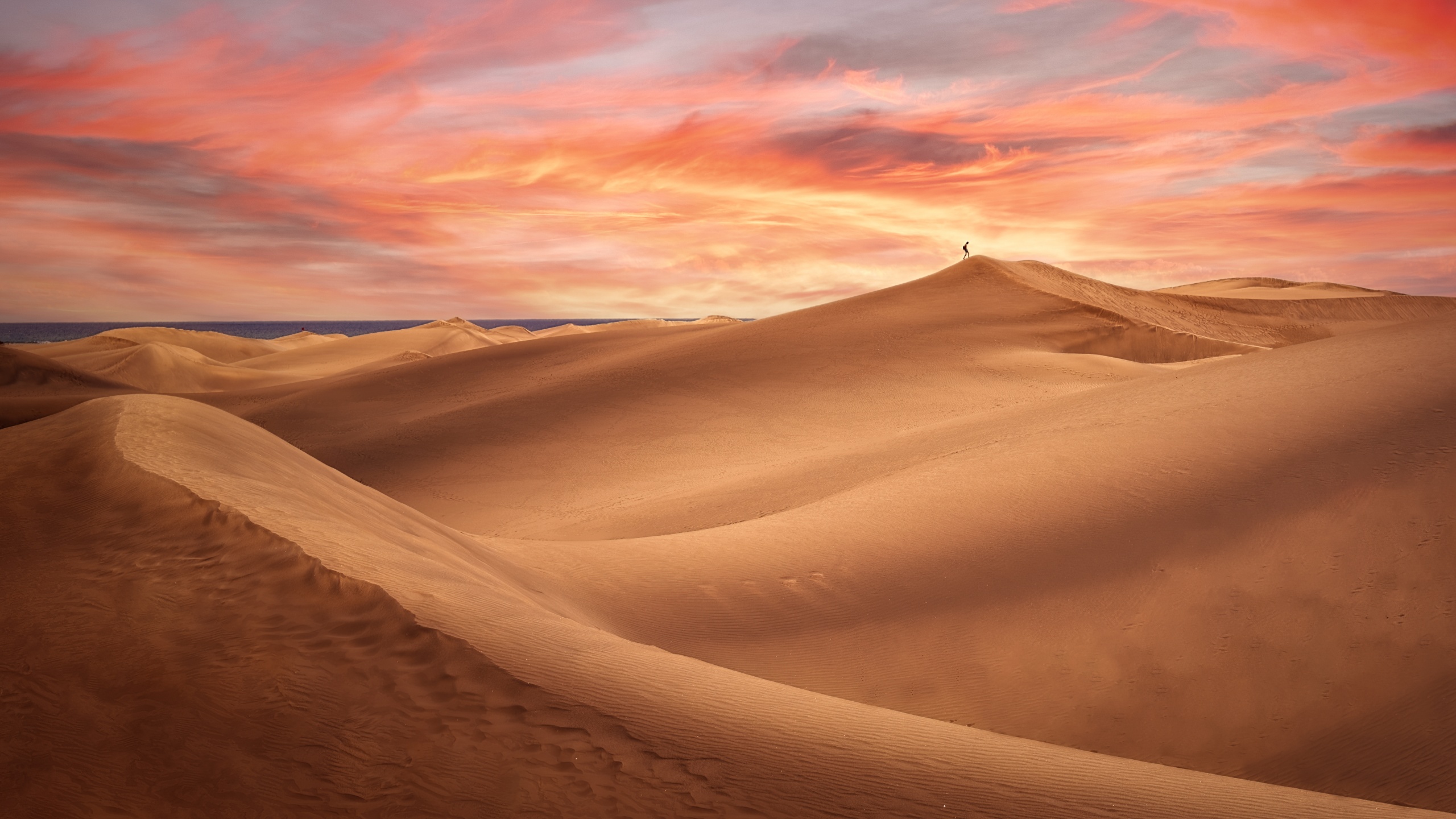 Desert Wallpaper 4K, Sand Dunes, Alone, Nature