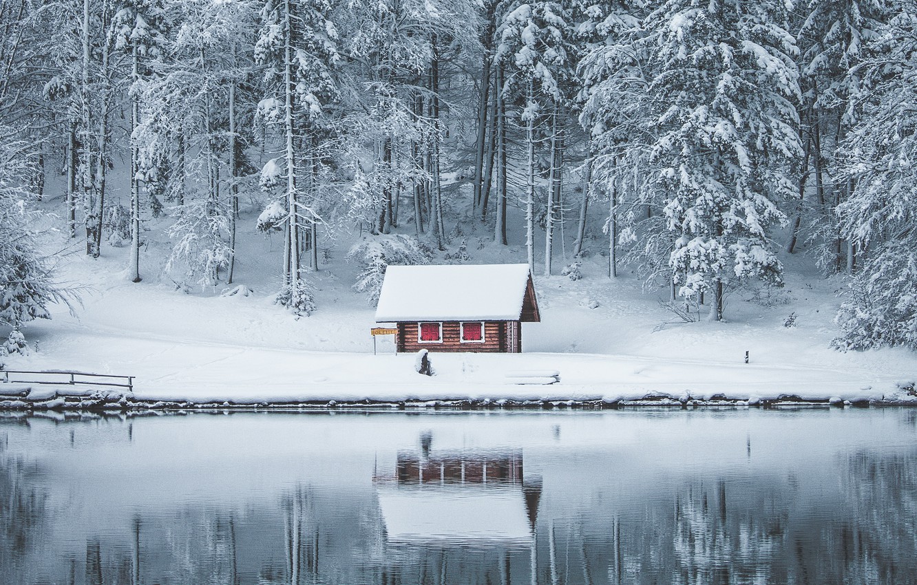 Wallpaper winter, forest, snow, lake, house, reflection, in the snow, shore, hut, ate, the snow, pine, house, pond, water surface, log image for desktop, section пейзажи