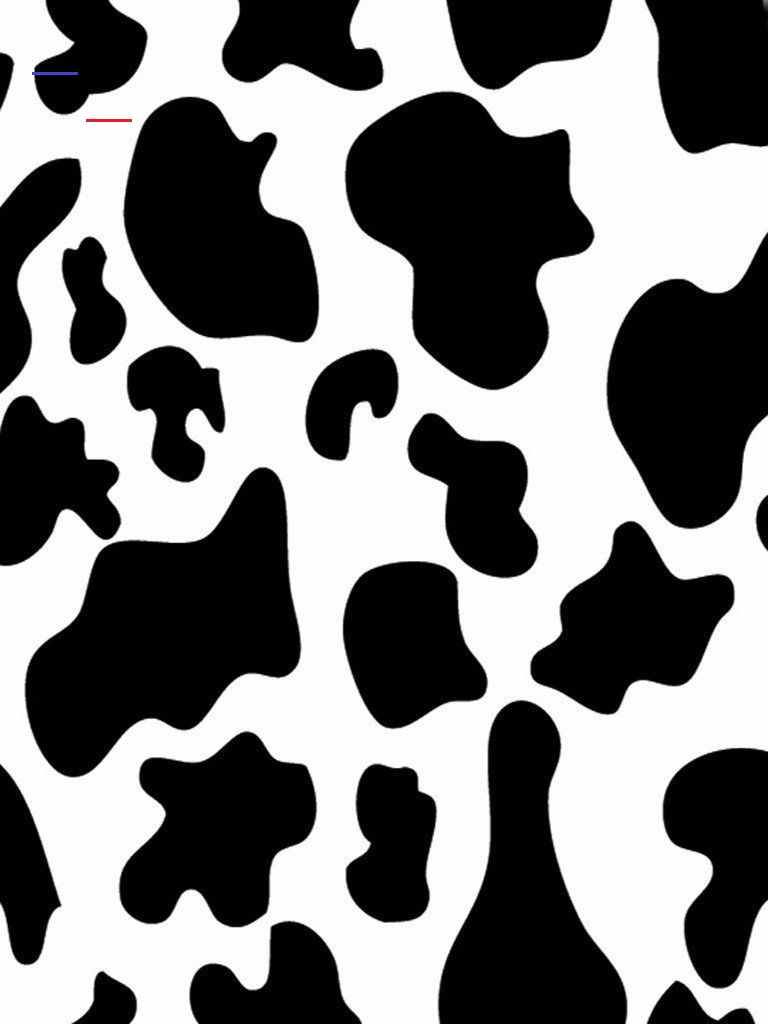wallcollage. Cow print wallpaper, Picture collage, Photo wall collage