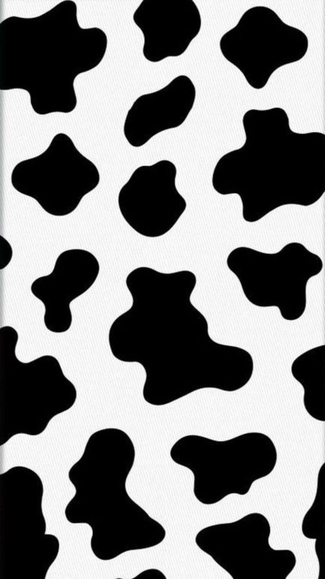 Cow Print Wallpaper Cow Print Wallpaper Download