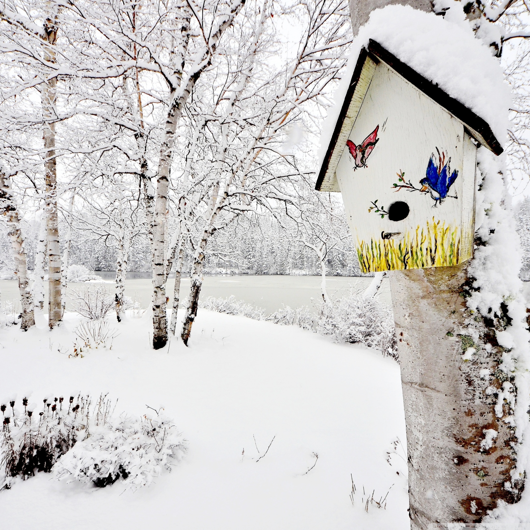 Snowy Birdhouse Ultra HD Desktop Background Wallpaper for 4K UHD TV, Widescreen & UltraWide Desktop & Laptop, Tablet