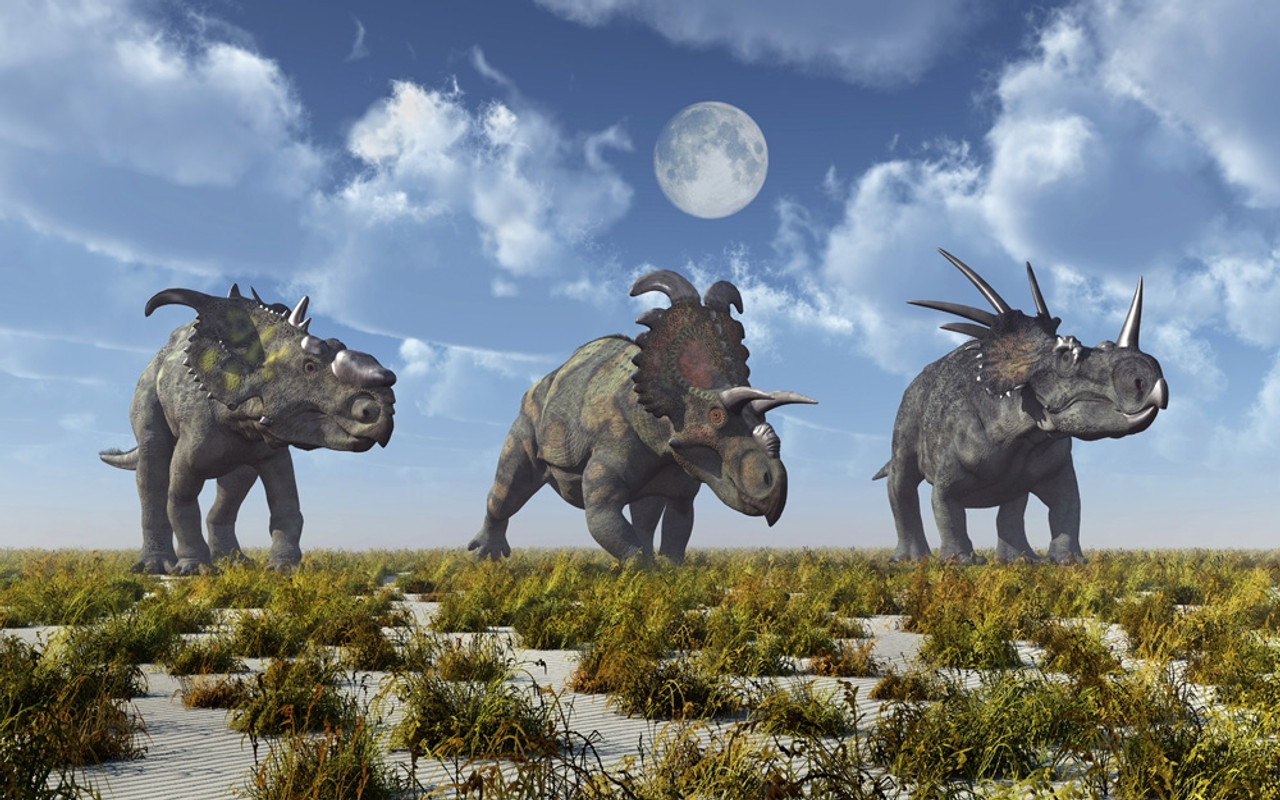 A Pachyrhinosaurus, An Albertaceratops And A Styracosaurus Dinosaur. Poster Print By Mark Stevenson Stocktrek Image 17 # VARPSTMAS600197P