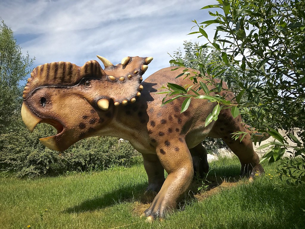Pachyrhinosaurus