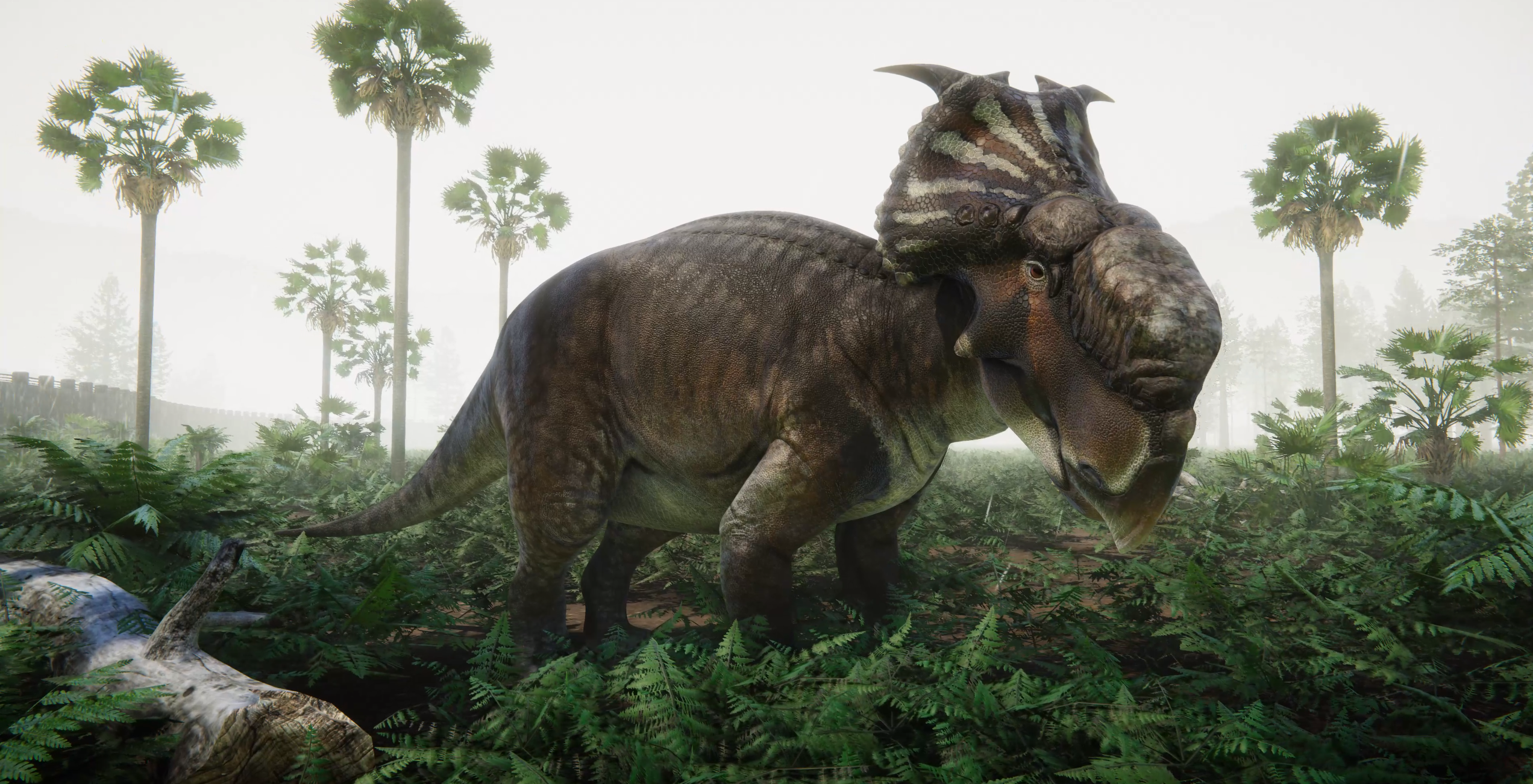 Rate my favorite dinosaur, Pachyrhinosaurus