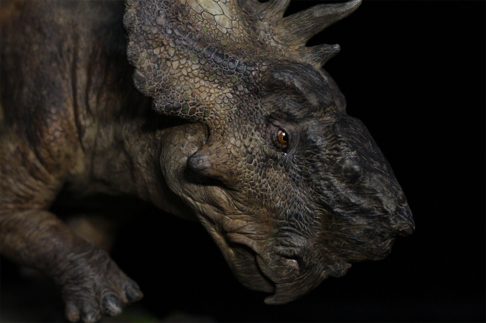 Pachyrhinosaurus Scene Model Triceratops Dinosaur Animal Figure Collector GK Toy