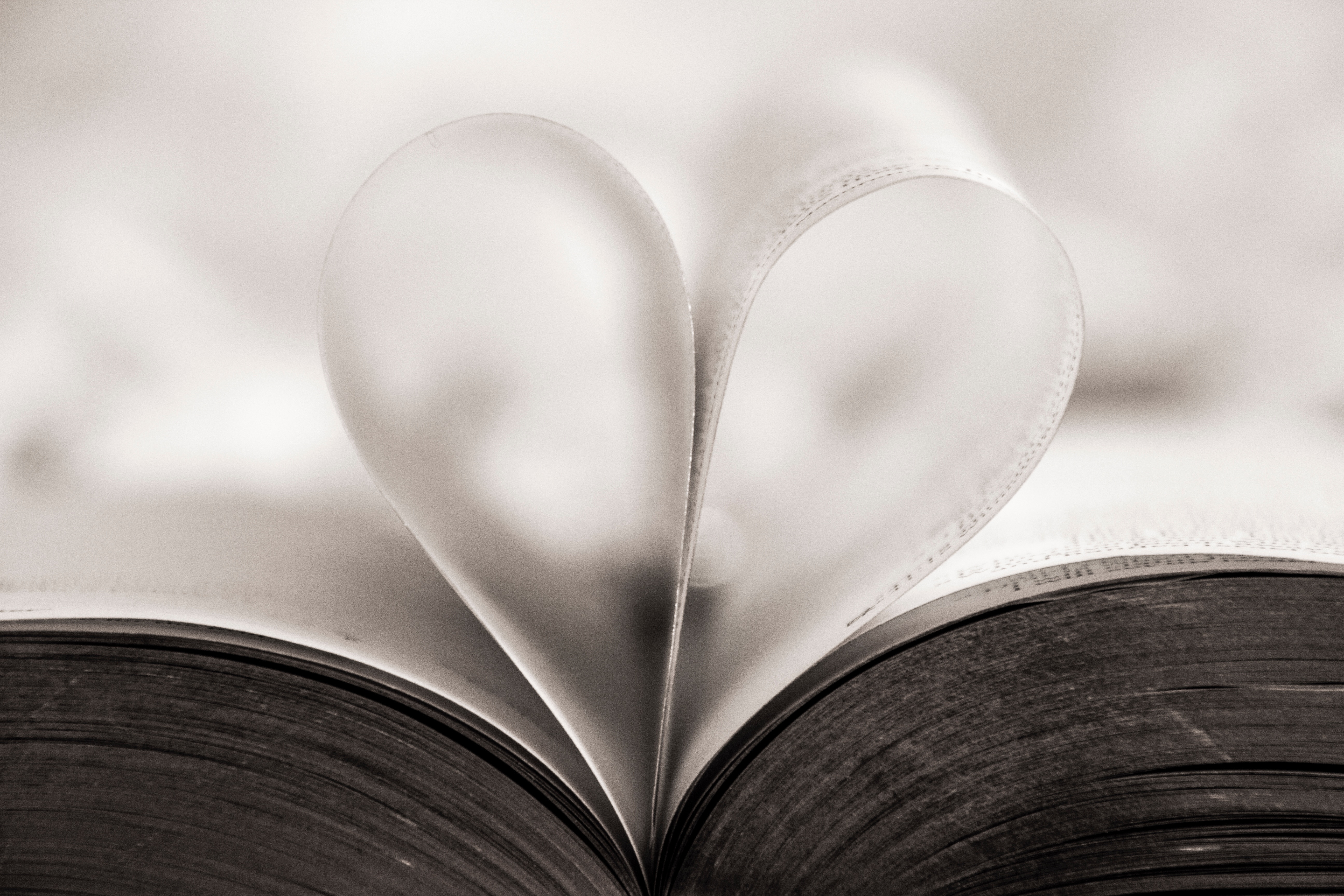 5184x3456 word, reading, shape, inlove, black and white, paper, page, heart, wedding, love, book, unexpected heart, Public domain image, beauty, blurry Gallery HD Wallpaper