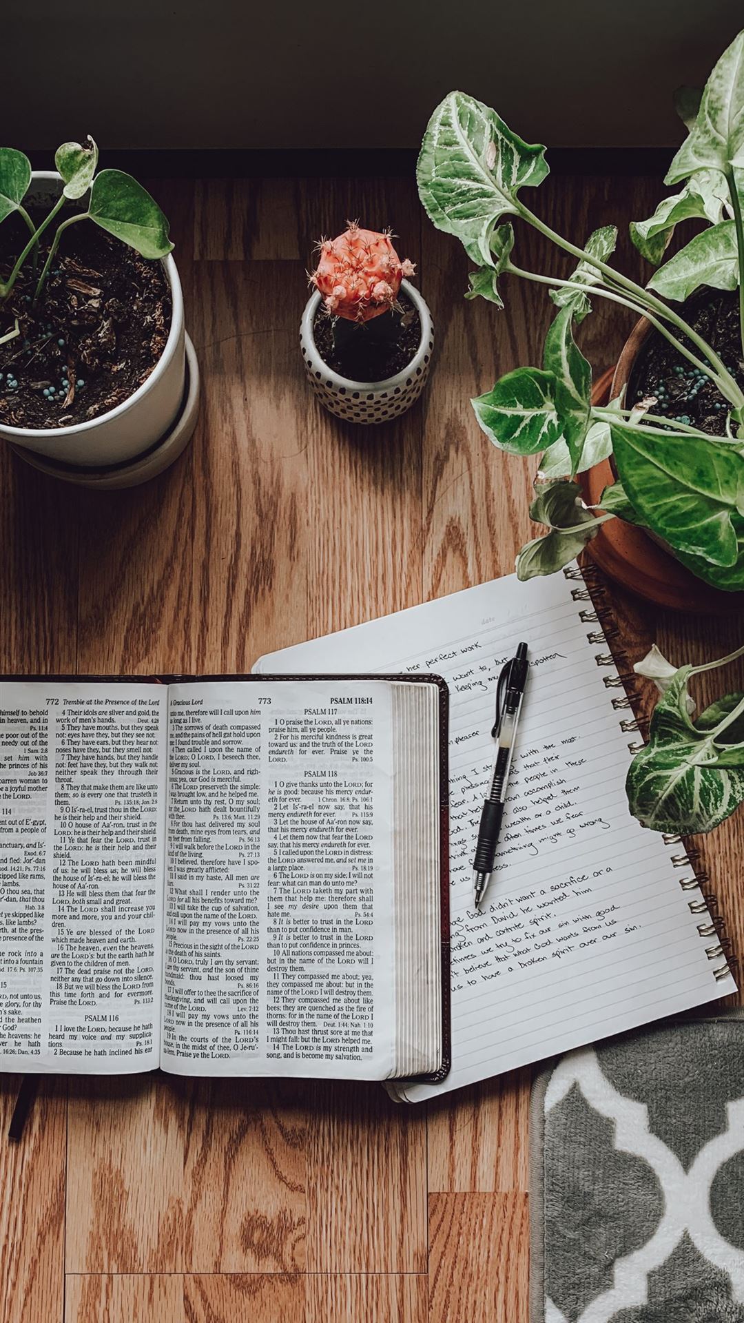 White Book Wallpapers - Wallpaper Cave