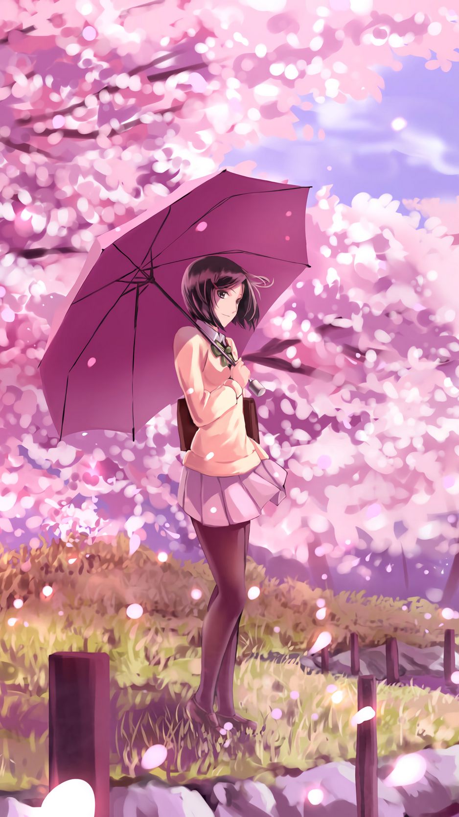 Download Wallpaper 938x1668 Girl, Umbrella, Sakura, Anime, Art, Cartoon Iphone 8 7 6s 6 For Parallax HD Background