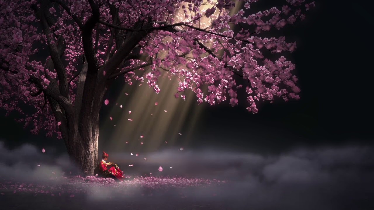 Wallpaper Engine: Sakura ❖ Beautiful Music