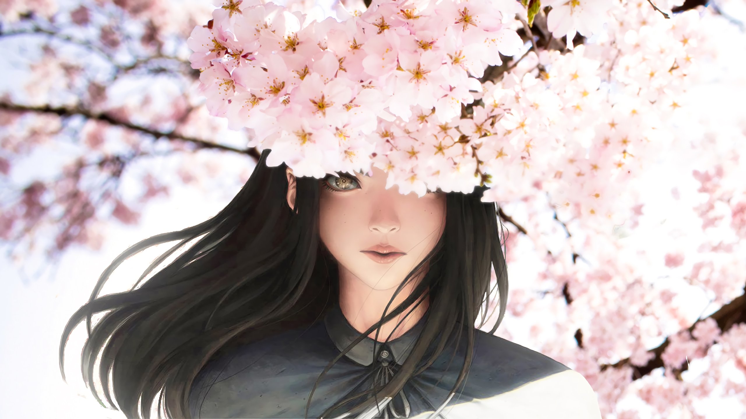 Beautiful, Anime girl, Sakura, Cherry blossom Gallery HD Wallpaper