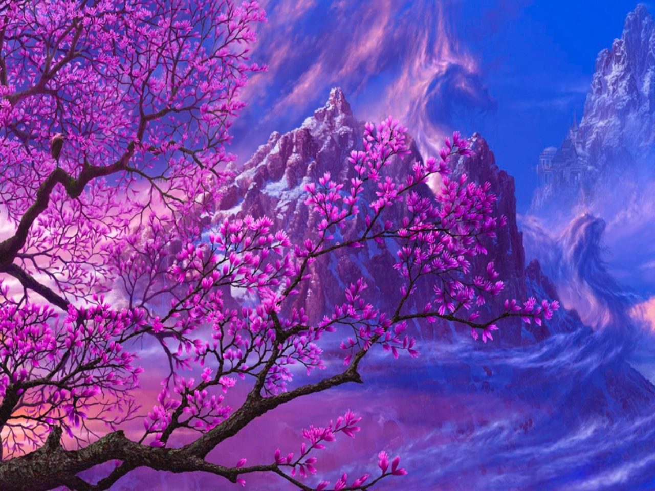 Cherry Blossom Spring Tree Purple Flowers Snow Mountain Peaks, Wallpaper13.com