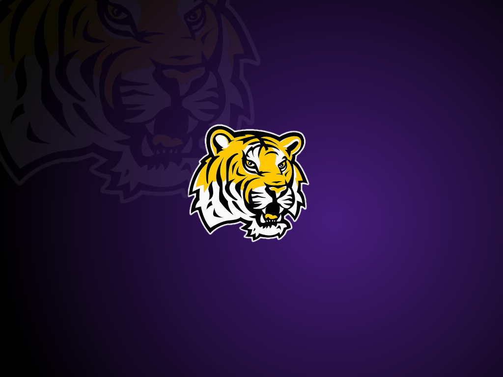 LSU Football Wallpaper for Computer