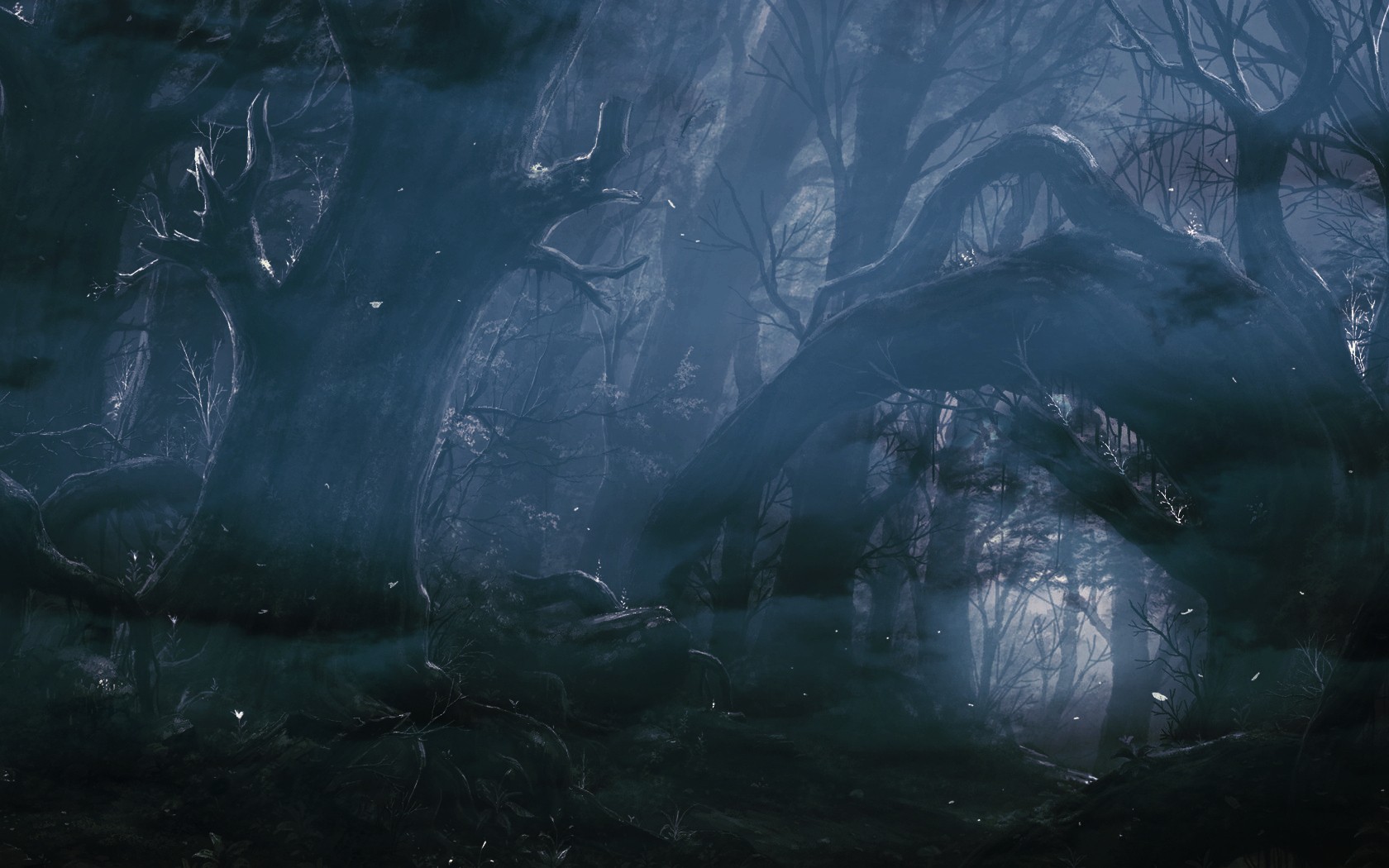 forest, fantasy art, dark Gallery HD Wallpaper