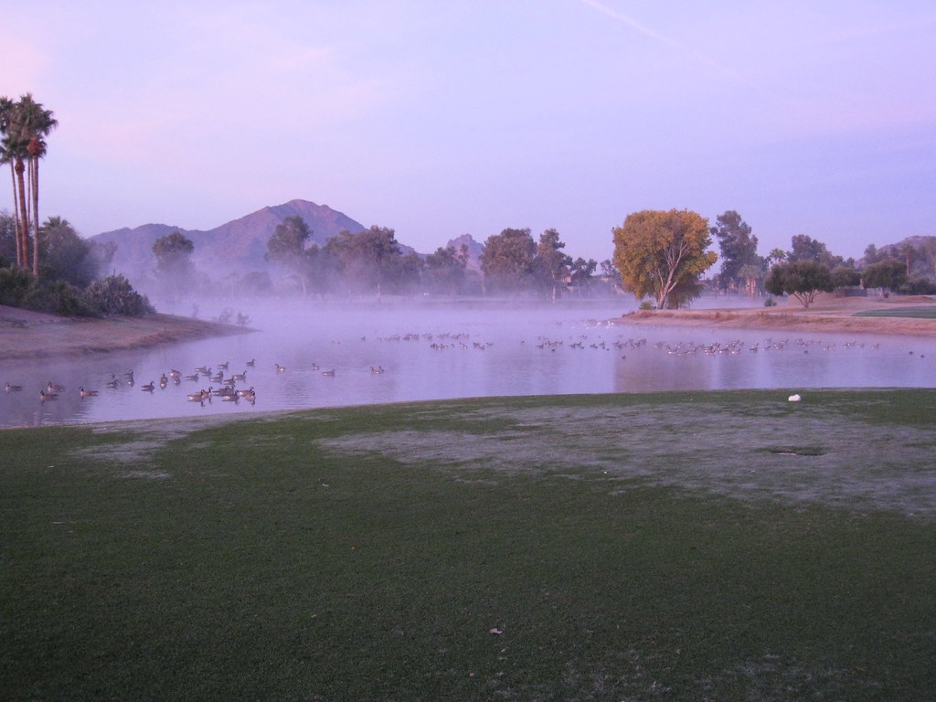 Tranquil Morning. Pre Sunrise In Scottsdale On The McCormic