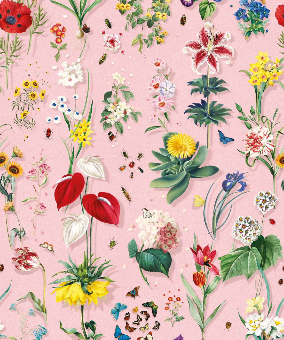 Jolie Wallpaper • Colorful Spring Floral Wallpaper