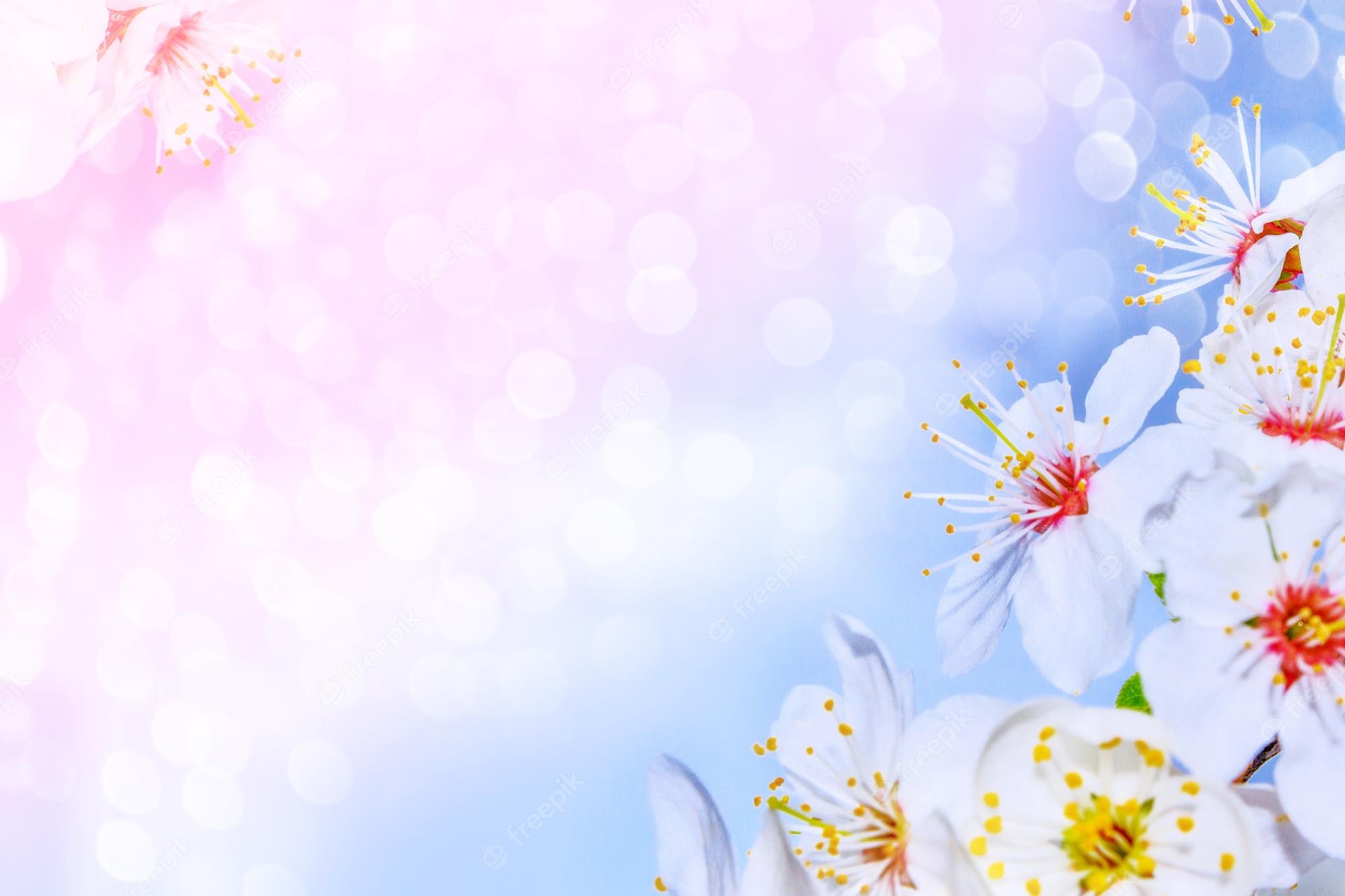 Premium Photo. Bright colorful spring flowers springtime