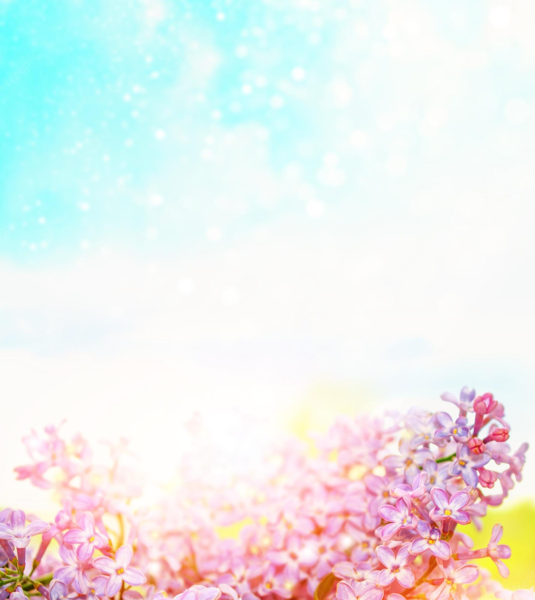 Colorful Spring Background Image