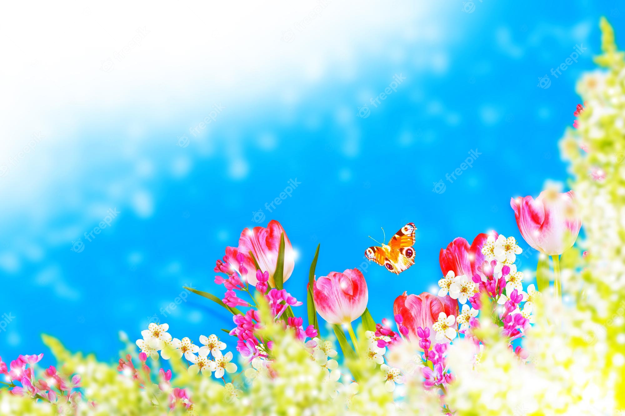 Bright Spring Flowers Image