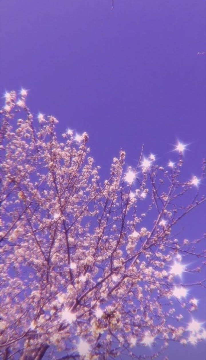 sakura tree. Purple aesthetic background, Purple wallpaper, Purple wallpaper phone