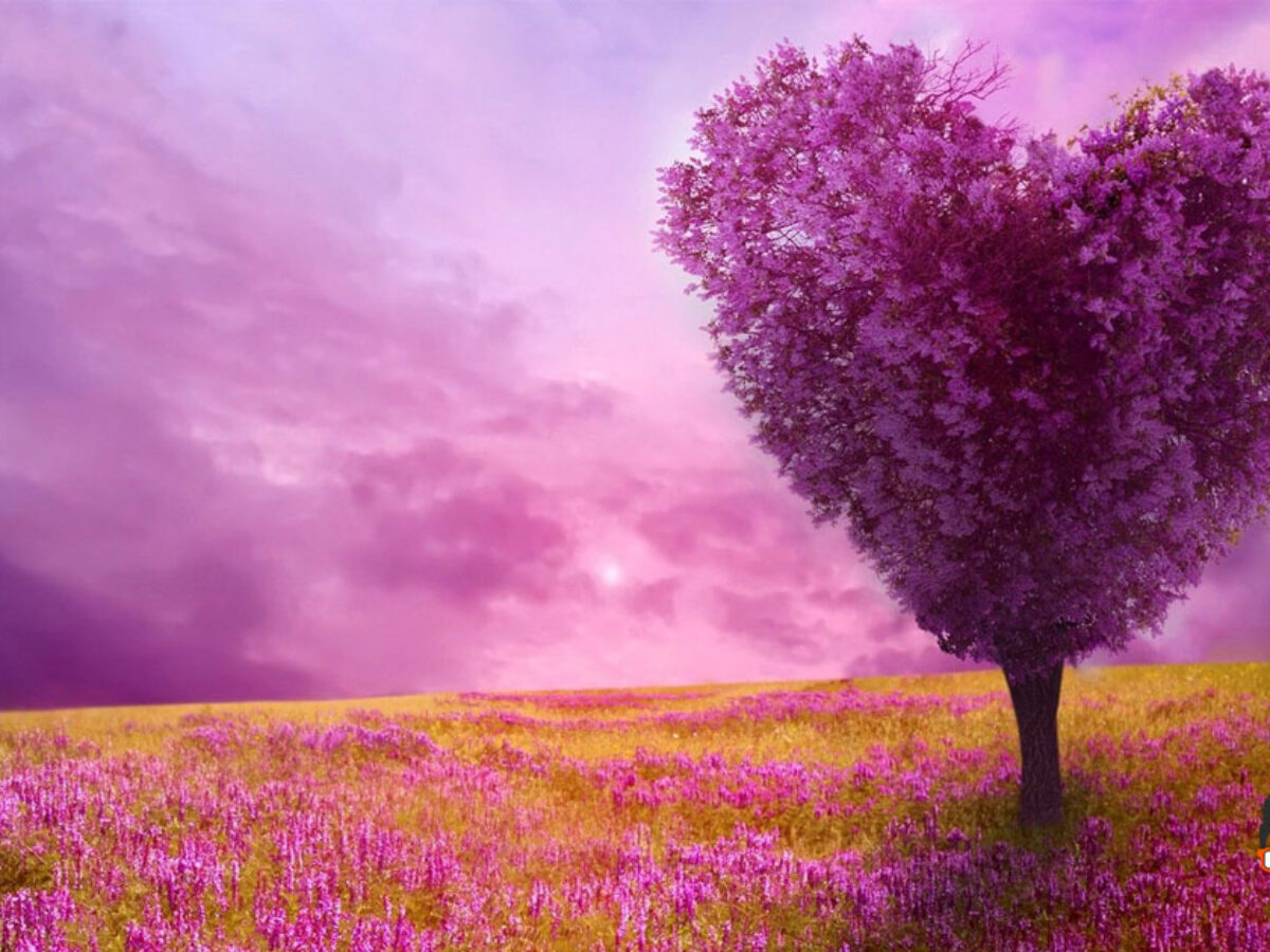 Download Spring iPhone Wallpaper 4K & Ultra HD 2023