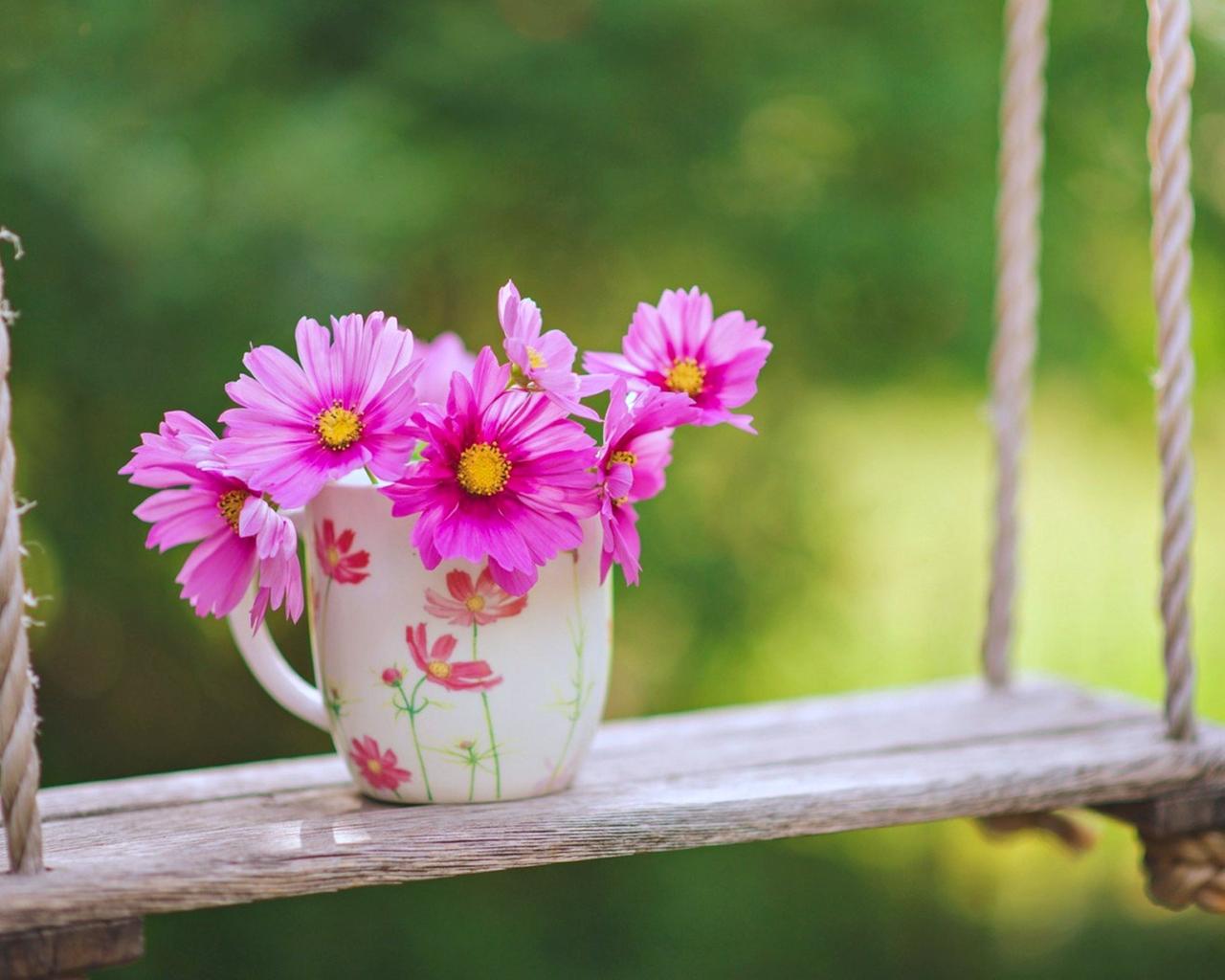 Pink flowers in a cup of coffee morning time