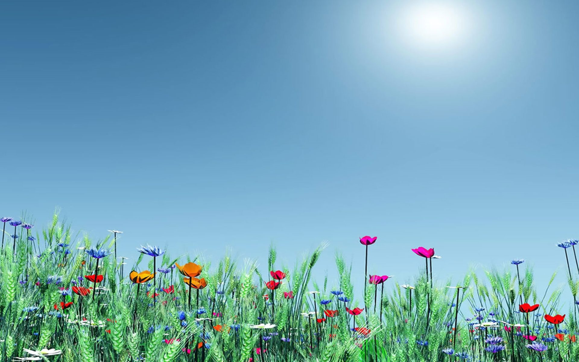 Spring, Meadow Flowers, Poppies, Nature HD Wallpaper, Wallpaper13.com