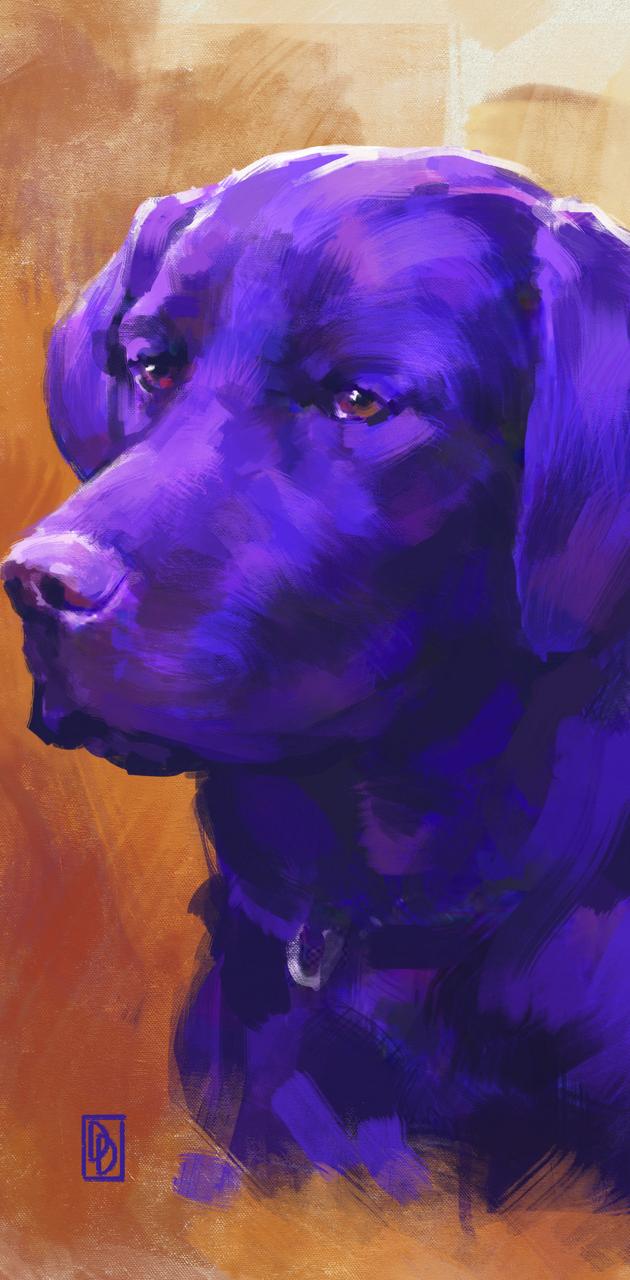Purple Dog wallpaper