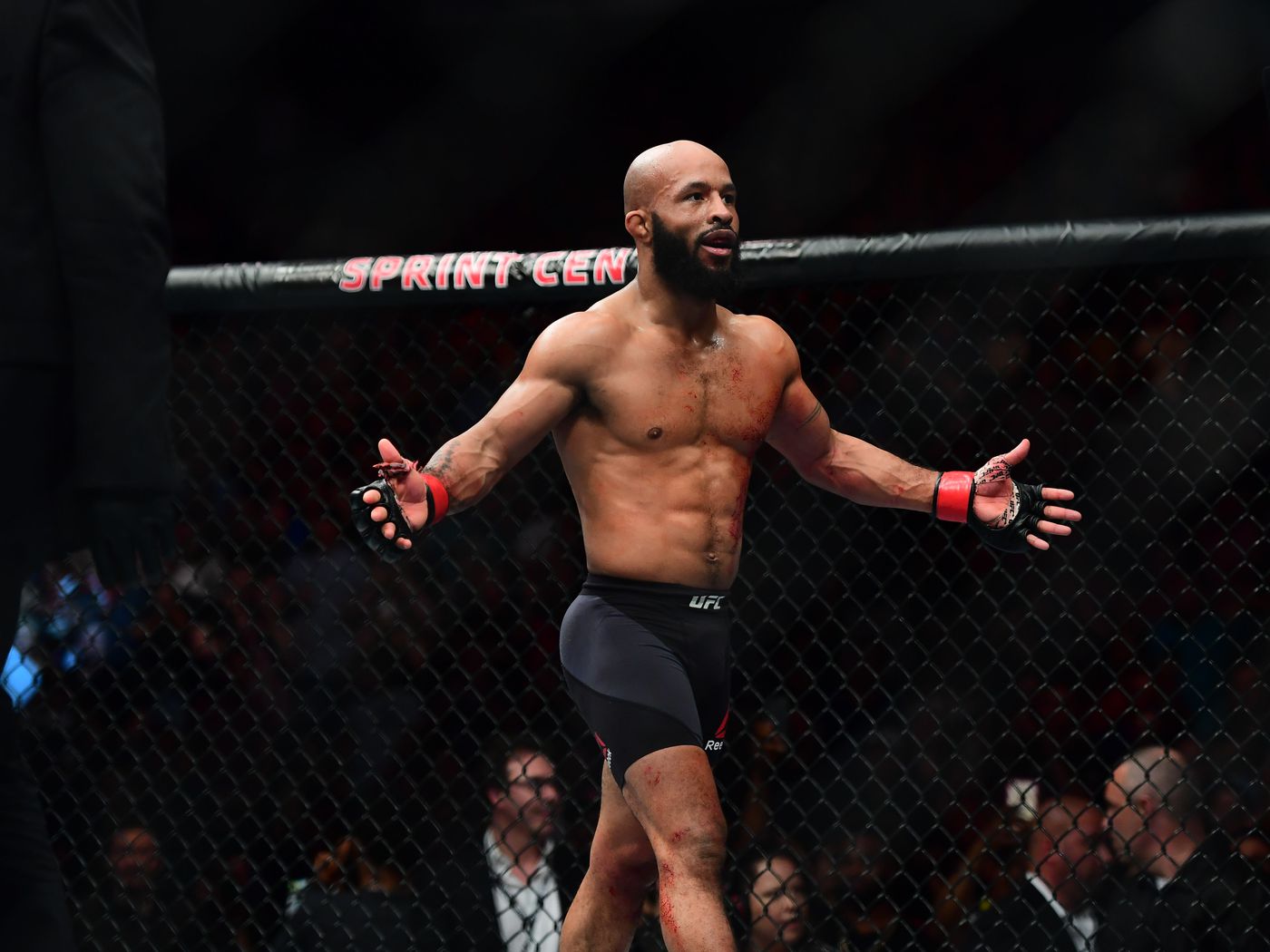 Demetrious Johnson Cements Best Pound For Pound Status With UFC 216 Win