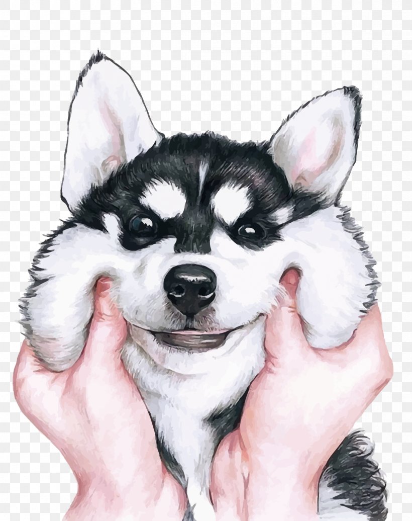 Siberian Husky Wallpaper, PNG, 1187x1500px, Watercolor, Cartoon, Flower, Frame, Heart Download Free