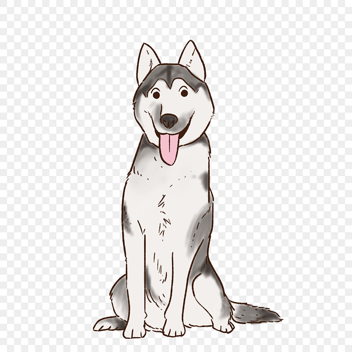 Cartoon Husky PNG Transparent Image Free Download