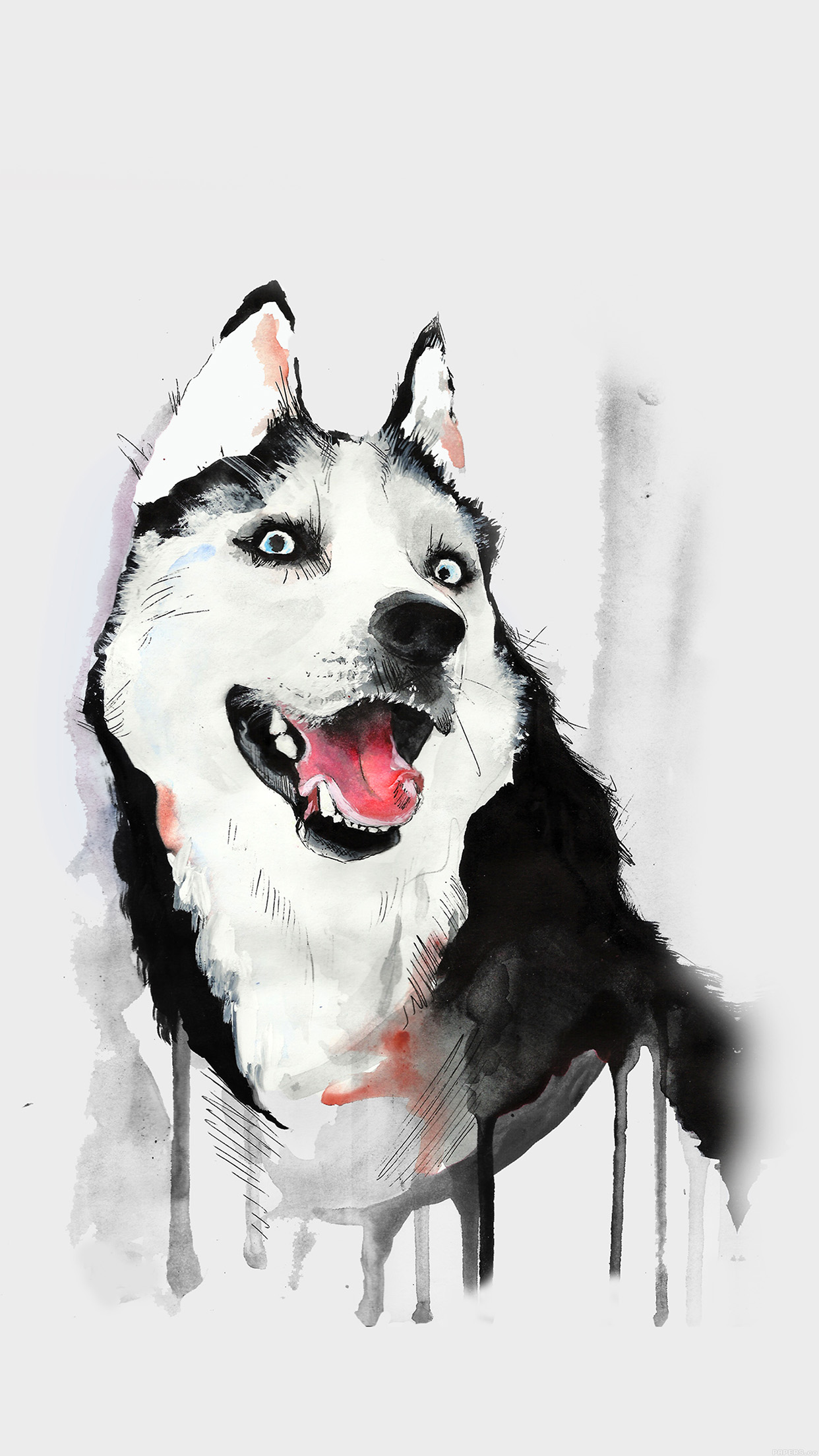 happy dog husky animal illust watercolor