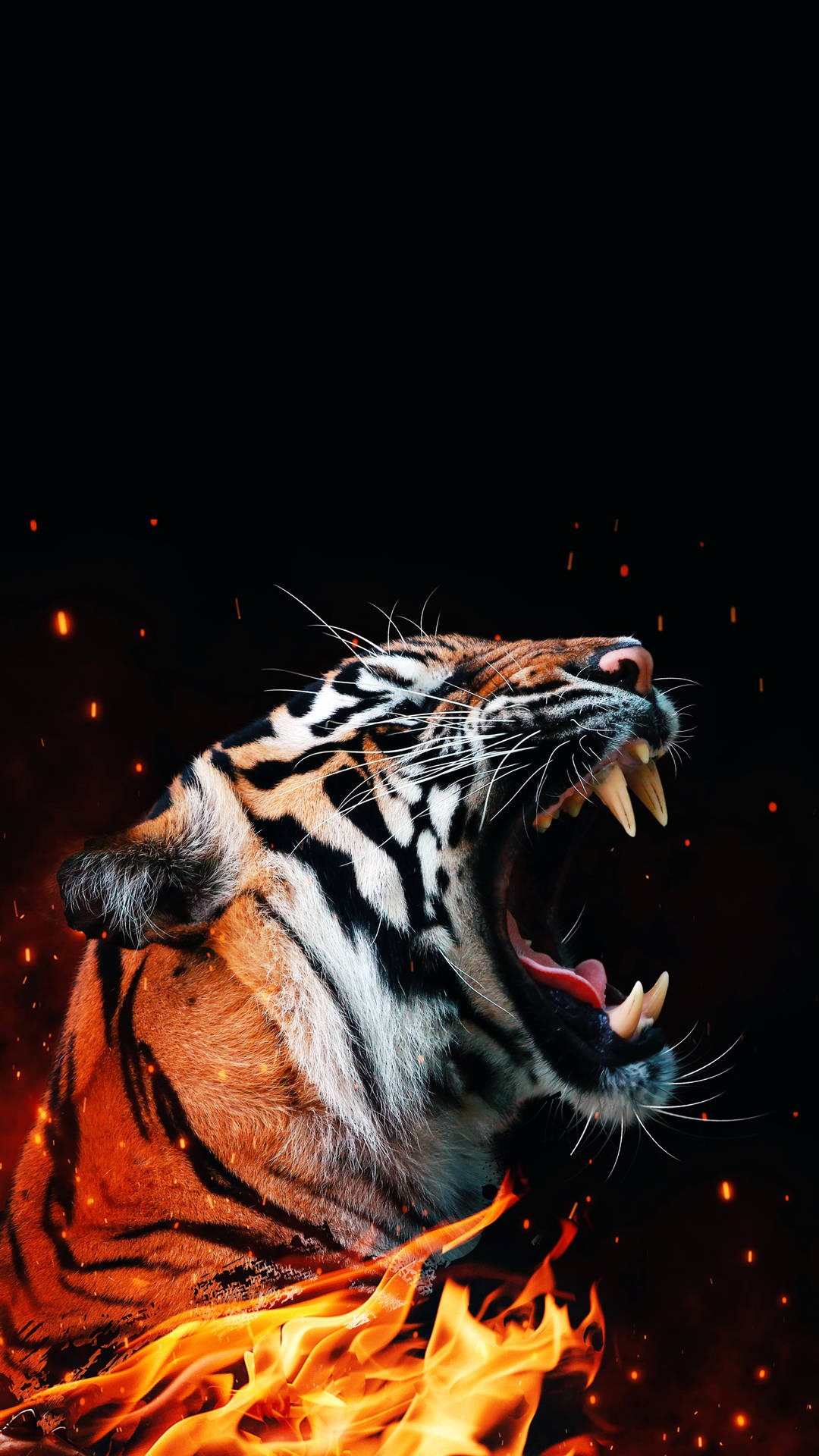 Download Cool Tiger Photo In Fire Wallpaper