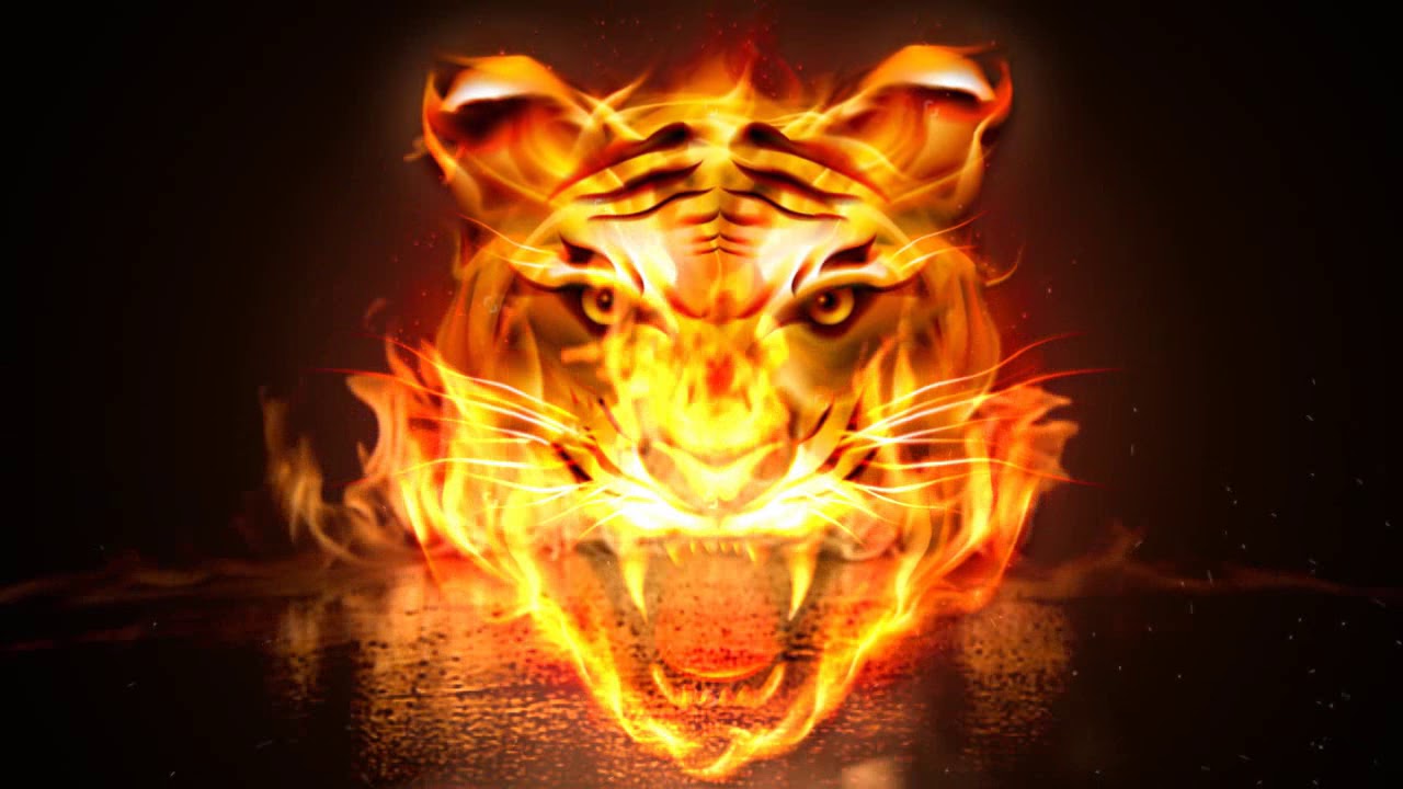 Angry Flame Tiger Keyboard Theme