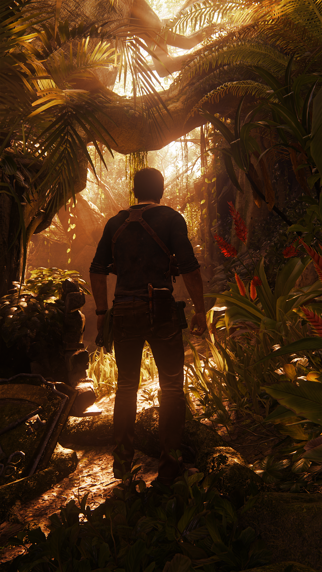 Uncharted Phone Wallpaper