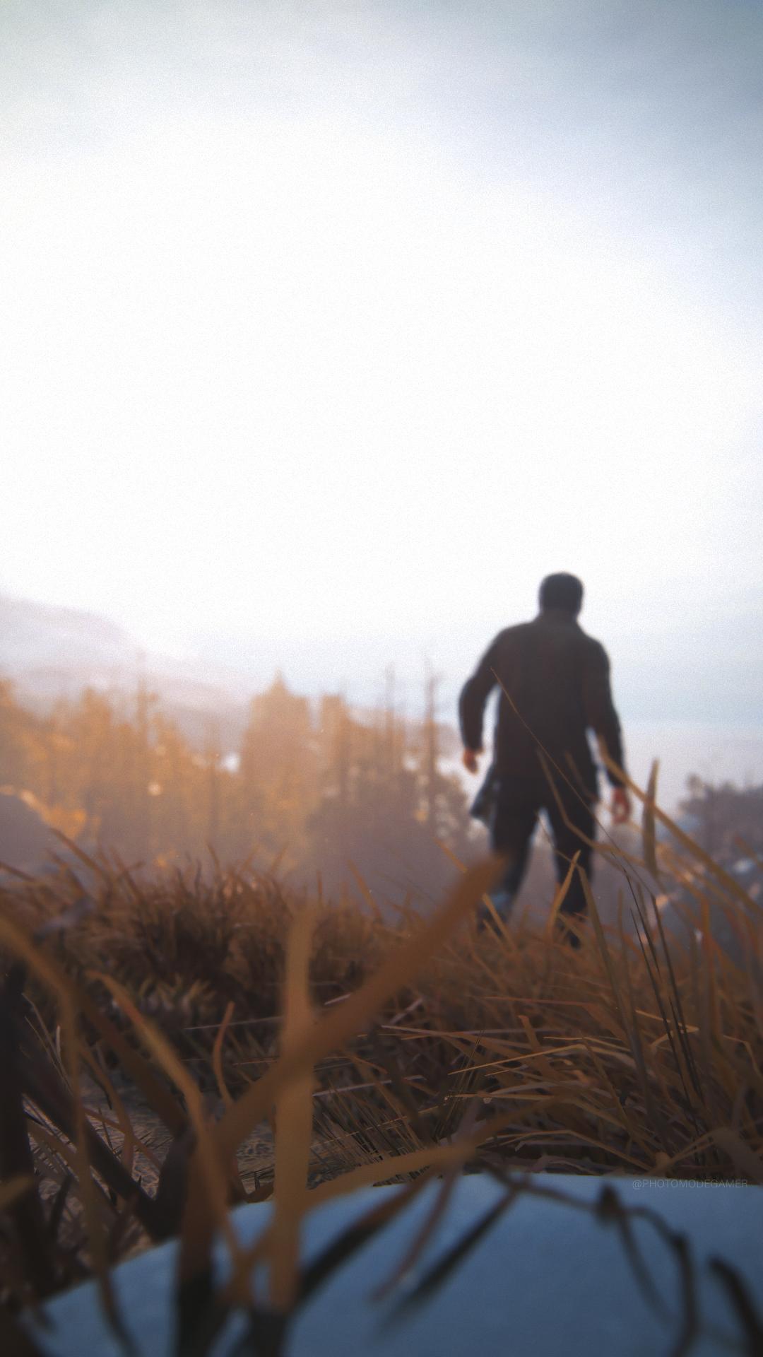 Uncharted 4 phone wallpaper for anyone interested