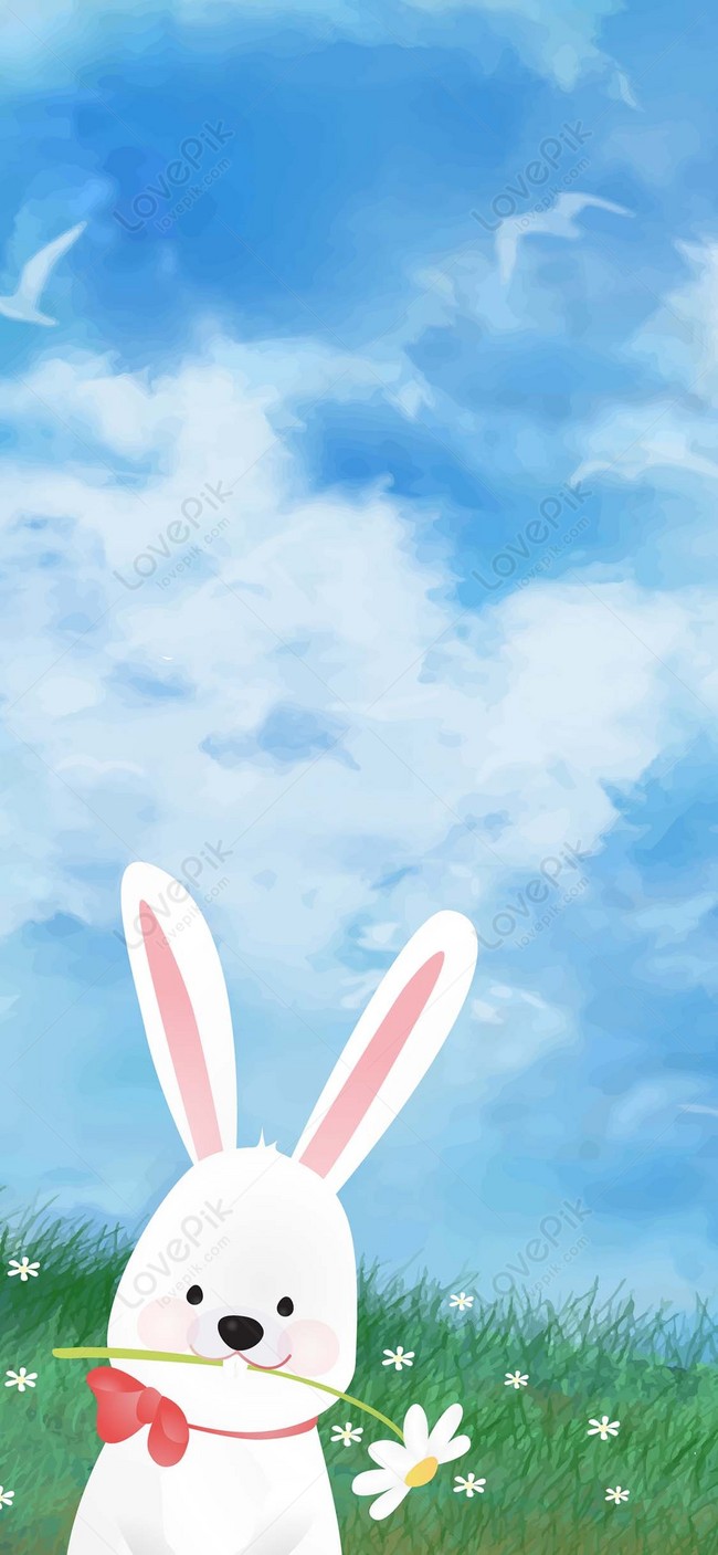 Rabbit Mobile Wallpaper Image Free Download