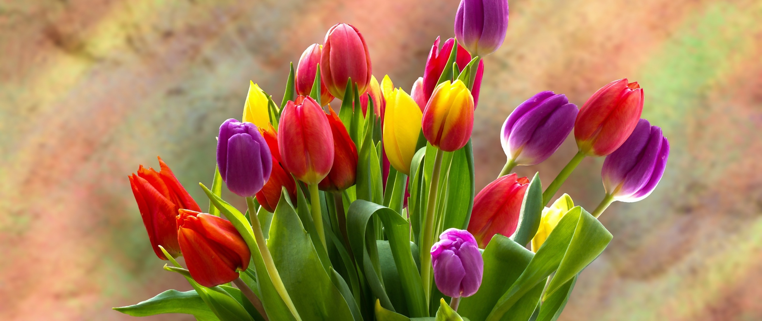 21:9 UltraWide Monitor HD Wallpaperx1080 Wallpaper