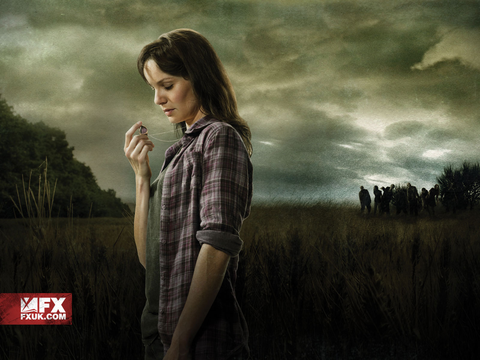 Lori Grimes Walking Dead Wallpaper