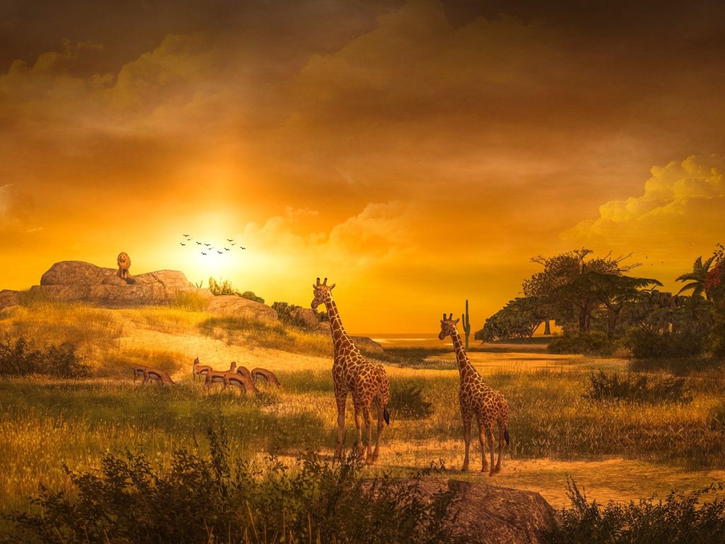 Giraffe Wildlife Sunset wallpaper in 1024x768 resolution