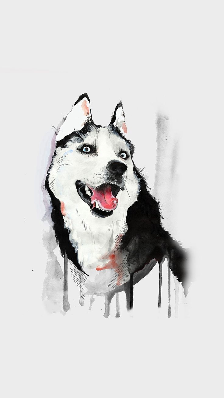 Happy Dog White Husky Animal Iillust Watercolor #iPhone #wallpaper. White husky, Watercolor dog, Husky dogs