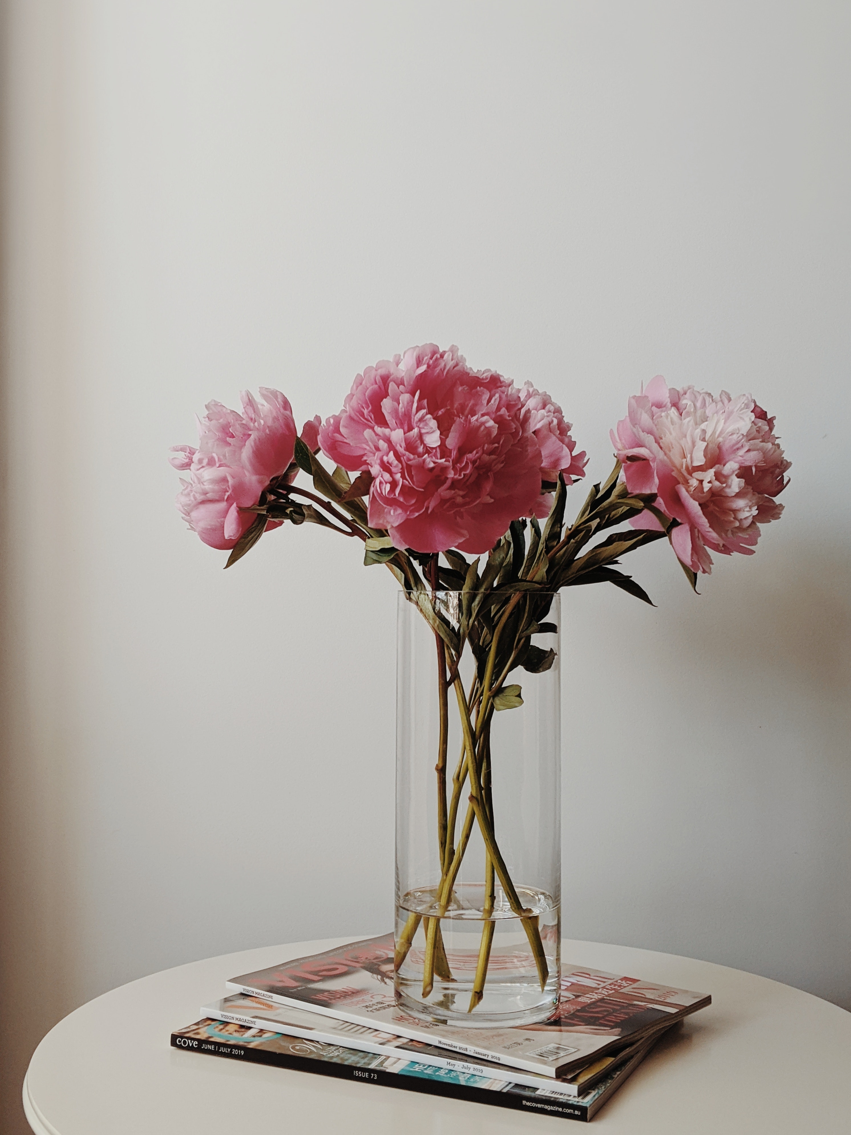 Pink Flowers in Glass Vase · Free