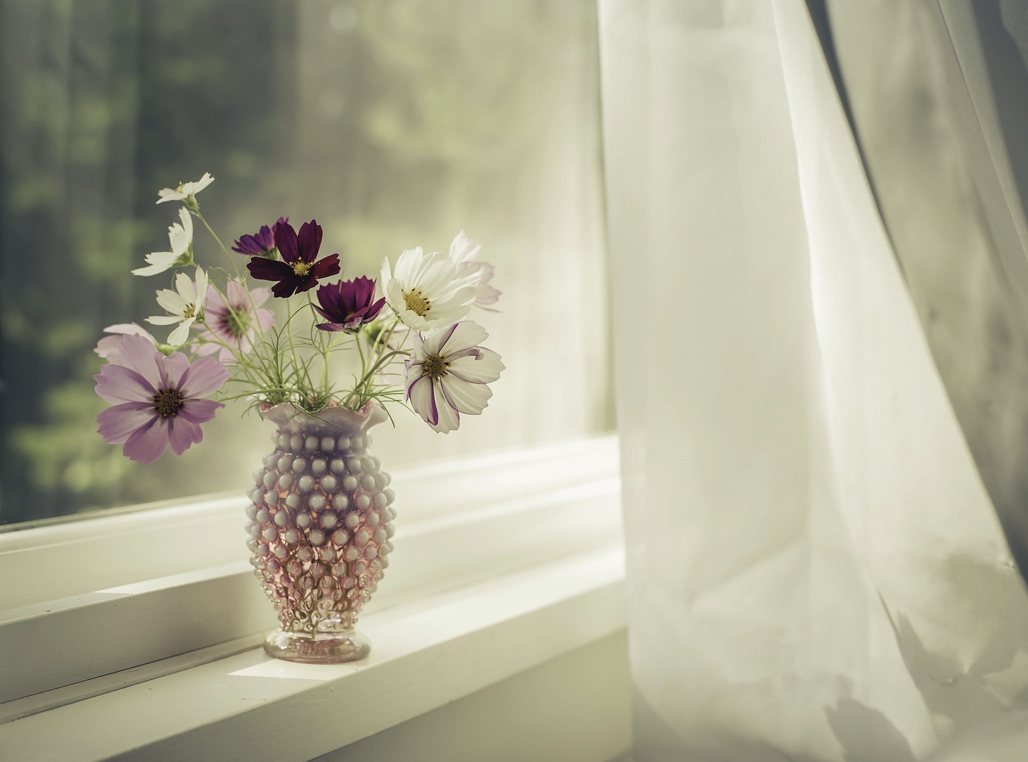 Vase With Flowers Wallpapers - Wallpaper Cave