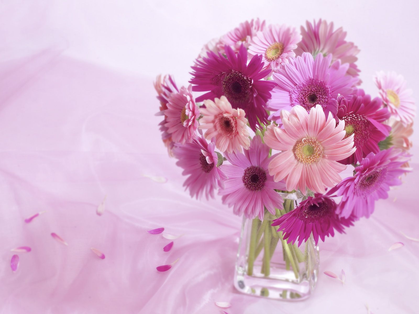 Flowers in Vase Wallpaper