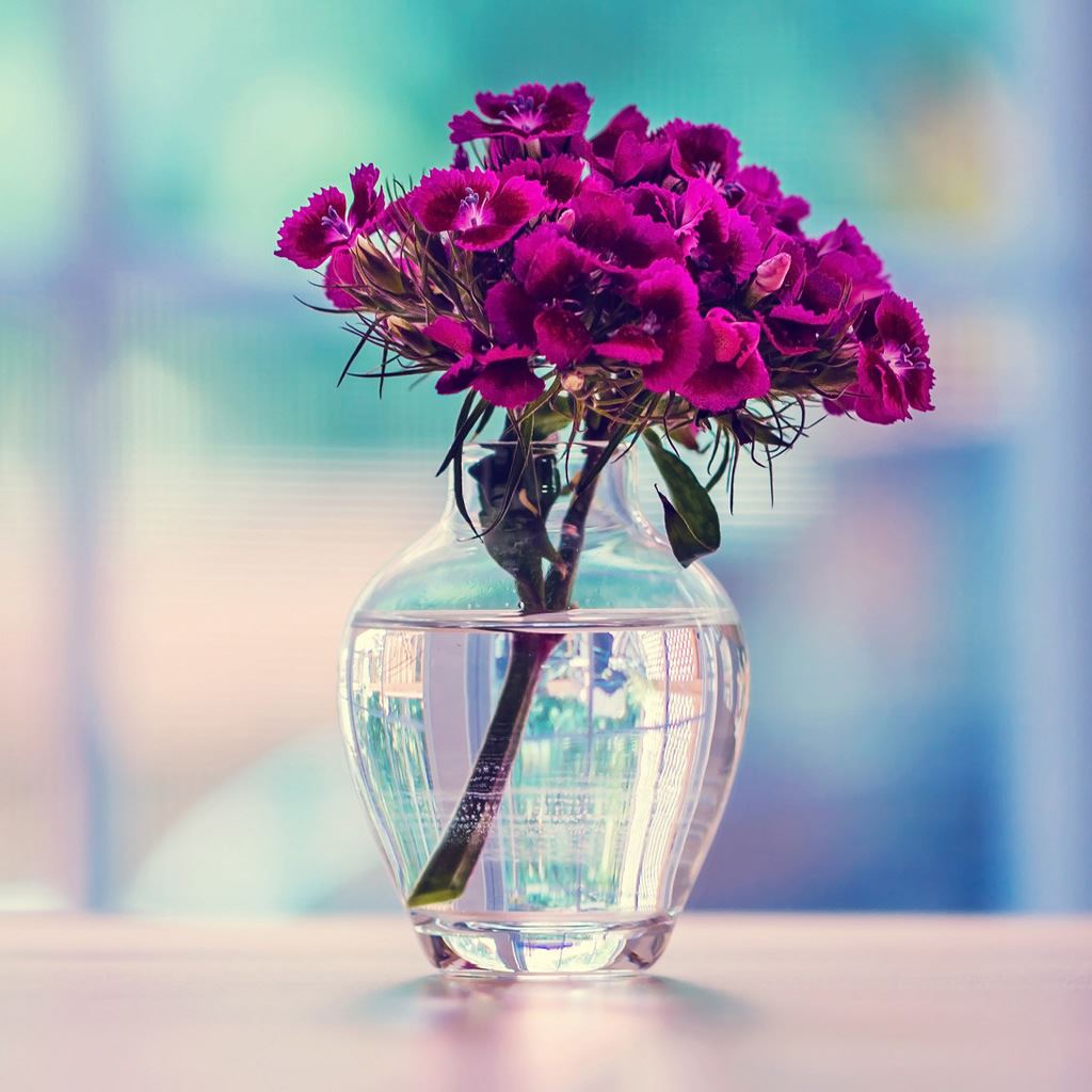 Vase With Flowers Wallpapers - Wallpaper Cave
