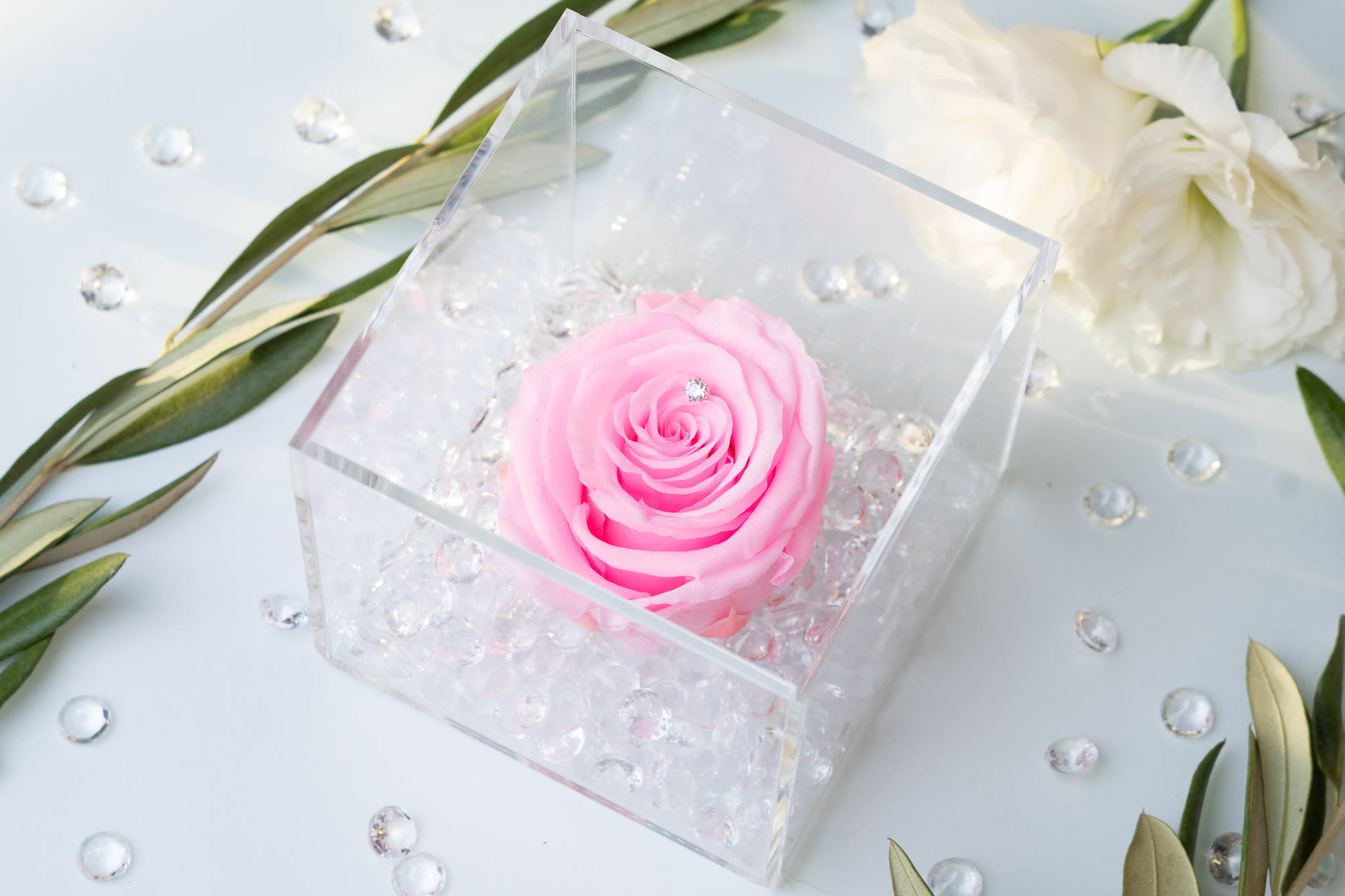 Roses And Bubbles Wallpapers - Wallpaper Cave