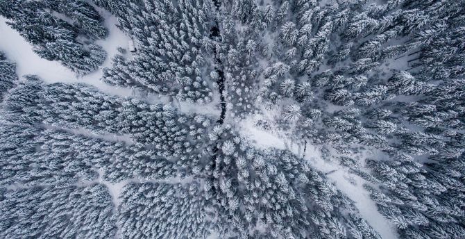 Wallpaper winter, snowfrost, aerial view, forest desktop wallpaper, HD image, picture, background, 6a6a01