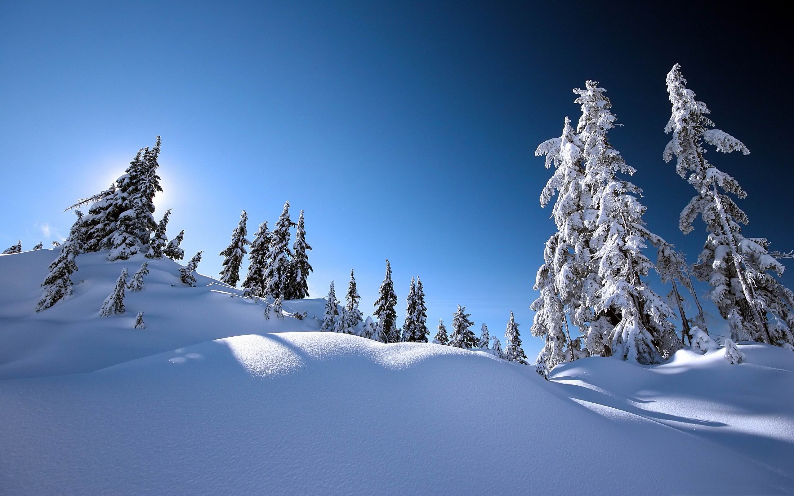 Beautiful Winter Landscape HD Wallpaper